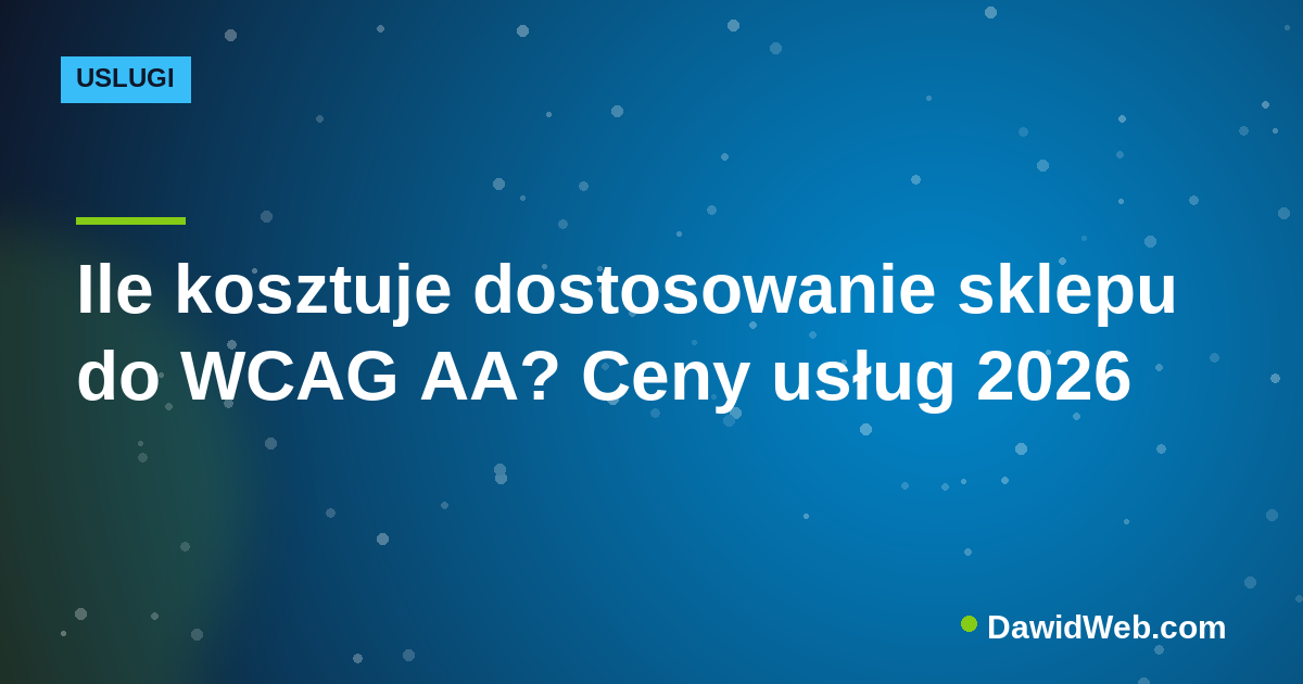 Ile kosztuje dostosowanie sklepu do WCAG AA? Ceny usług 2026